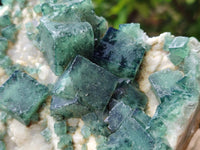 Natural Green Fluorite Cluster Specimens x 2 From Mandrosonoro, Madagascar