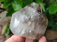 Polished Smokey Window Quartz Crystals x 6 From Madagascar