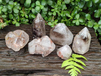 Polished Smokey Window Quartz Crystals x 6 From Madagascar