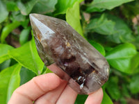 Polished Smokey Window Quartz Crystals x 6 From Madagascar