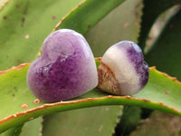 Polished Chevron Amethyst Hearts x 20 From Madagascar