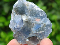 Natural Blue Celestite Specimens x 41 From Sakoany, Madagascar