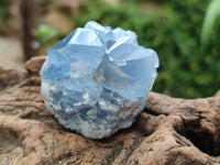 Natural Blue Celestite Specimens x 41 From Sakoany, Madagascar