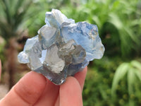Natural Blue Celestite Specimens x 41 From Sakoany, Madagascar