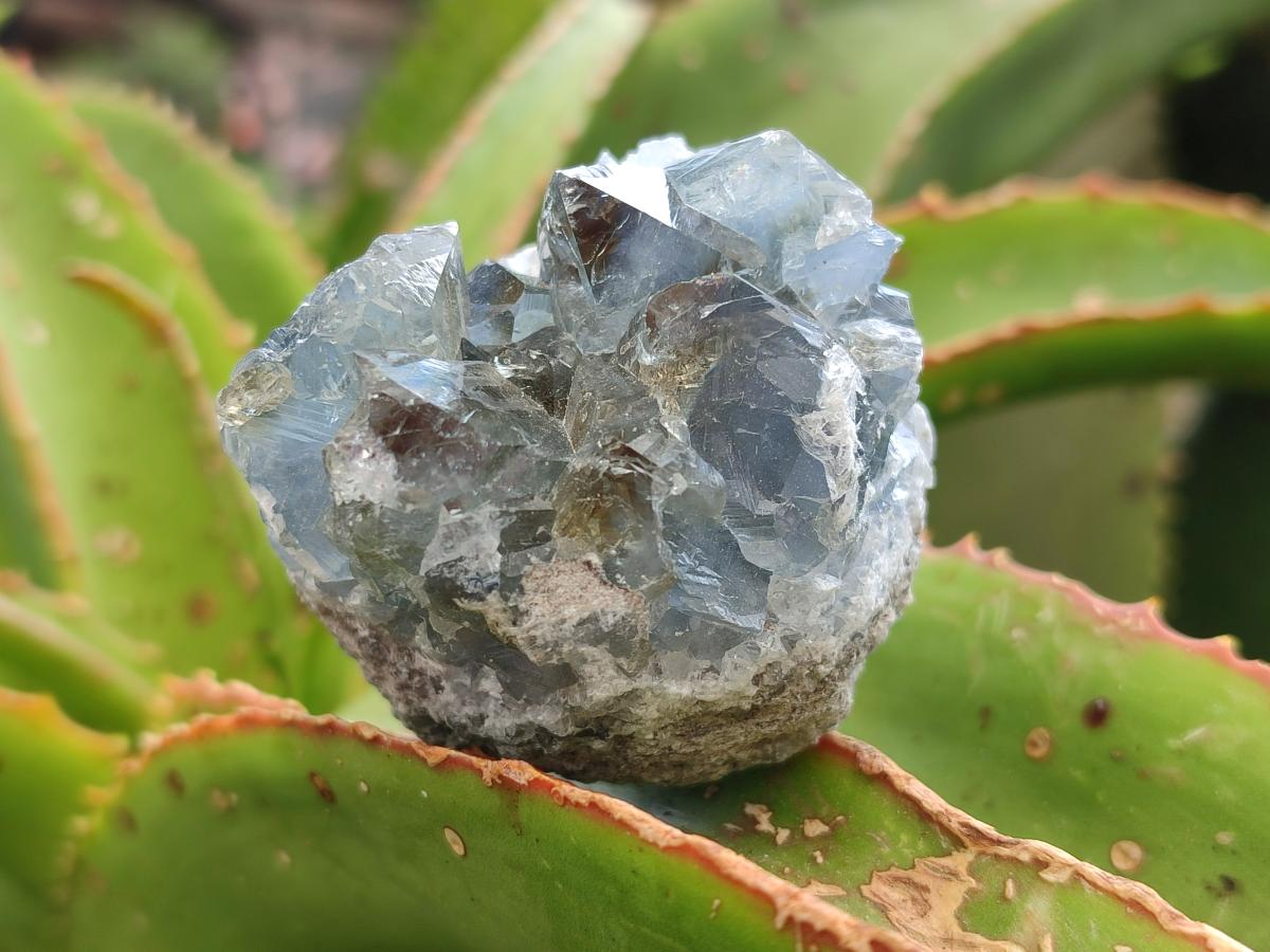 Natural Blue Celestite Specimens x 41 From Sakoany, Madagascar - Toprock Gemstones and Minerals 