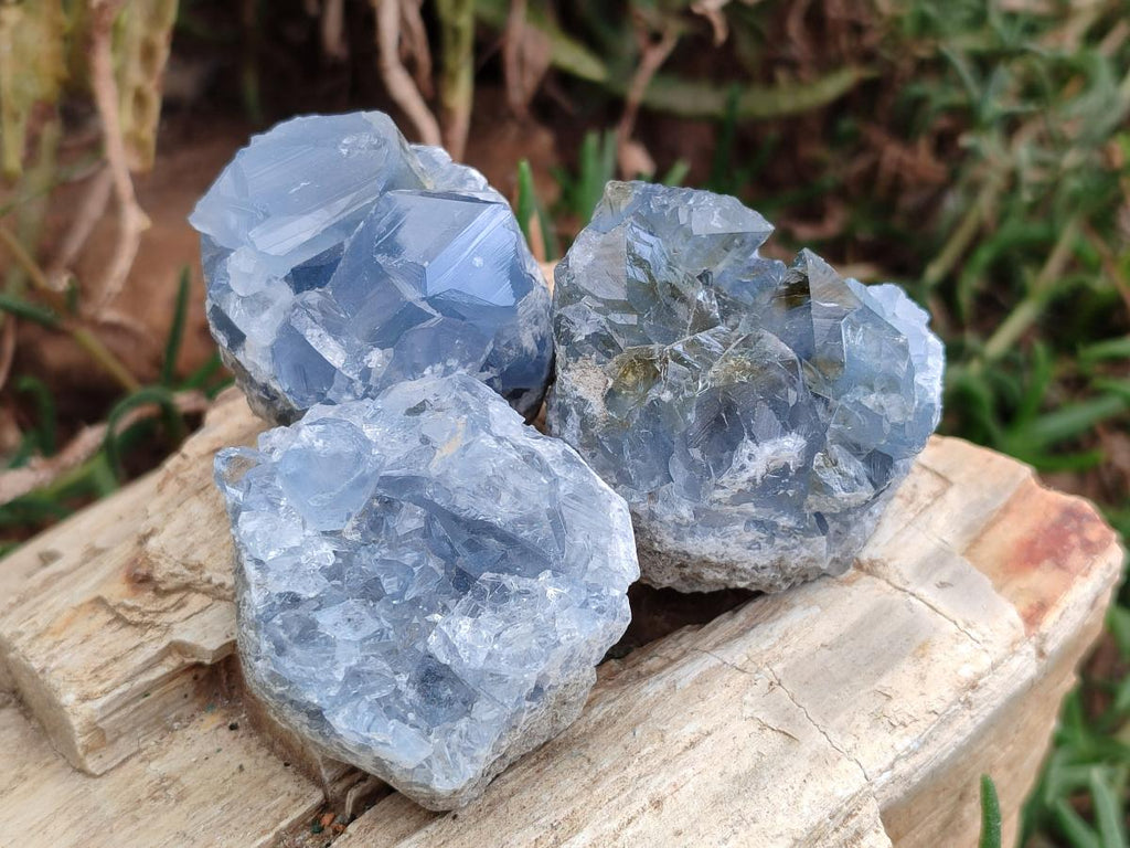 Natural Blue Celestite Specimens x 41 From Sakoany, Madagascar - Toprock Gemstones and Minerals 