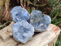 Natural Blue Celestite Specimens x 41 From Sakoany, Madagascar