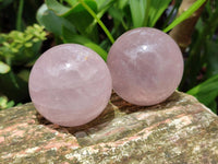 Polished Star Rose Quartz Spheres x 6 From Madagascar