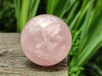 Polished Star Rose Quartz Spheres x 6 From Madagascar