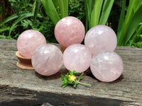 Polished Star Rose Quartz Spheres x 6 From Madagascar