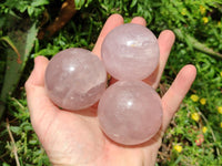 Polished Star Rose Quartz Spheres x 6 From Madagascar