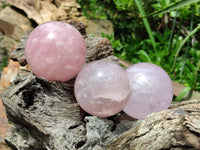 Polished Star Rose Quartz Spheres x 6 From Madagascar