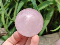 Polished Star Rose Quartz Spheres x 6 From Madagascar