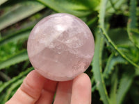 Polished Star Rose Quartz Spheres x 6 From Madagascar