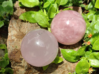 Polished Star Rose Quartz Spheres x 6 From Madagascar