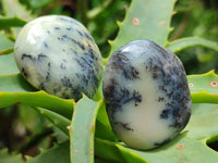 Polished Dendritic Opal Palm Stones x 70 From Moralambo, Madagascar