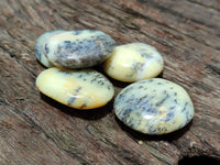 Polished Dendritic Opal Palm Stones x 70 From Moralambo, Madagascar