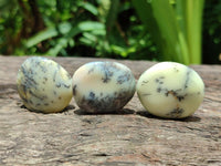 Polished Dendritic Opal Palm Stones x 70 From Moralambo, Madagascar