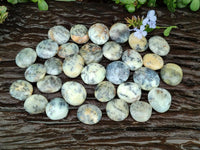 Polished Dendritic Opal Palm Stones x 70 From Moralambo, Madagascar