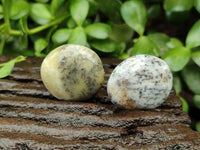 Polished Dendritic Opal Palm Stones x 70 From Moralambo, Madagascar