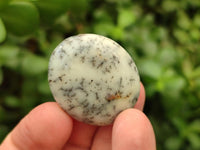 Polished Dendritic Opal Palm Stones x 70 From Moralambo, Madagascar