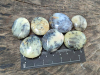 Polished Dendritic Opal Palm Stones x 70 From Moralambo, Madagascar