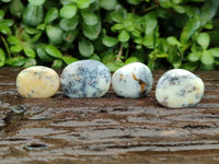 Polished Dendritic Opal Palm Stones x 70 From Moralambo, Madagascar