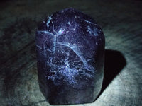 Polished Tourmalinated Quartz Crystals x 3 From Madagascar