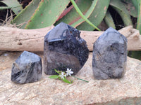 Polished Tourmalinated Quartz Crystals x 3 From Madagascar