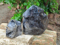 Polished Tourmalinated Quartz Crystals x 3 From Madagascar