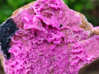 Natural Salrose Cobaltion Dolomite With Heterogenite Specimens x 4 From Kakanda, Congo