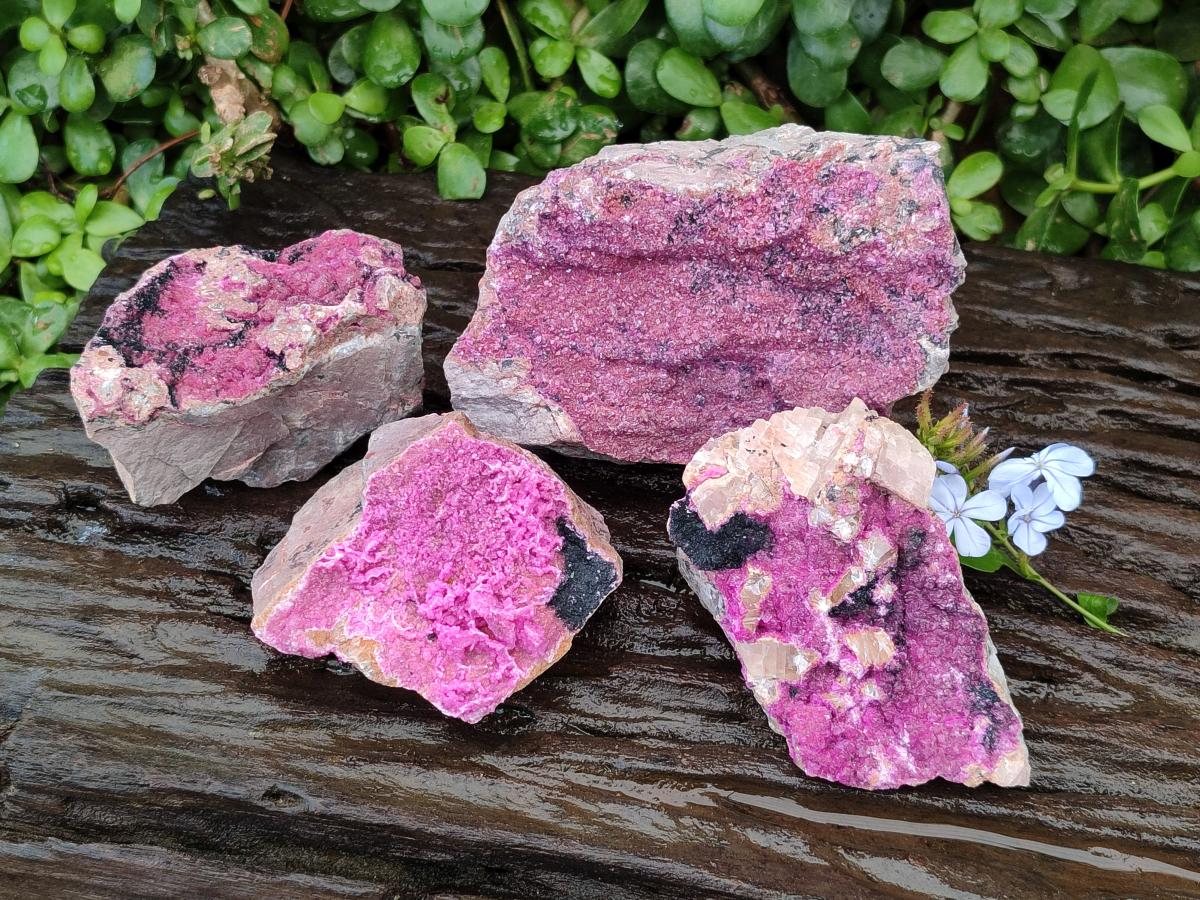 Natural Salrose Cobaltion Dolomite With Heterogenite Specimens x 4 From Kakanda, Congo