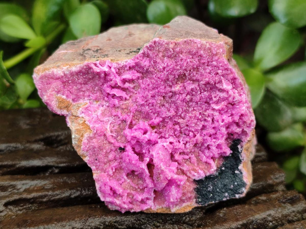 Natural Salrose Cobaltion Dolomite With Heterogenite Specimens x 4 From Kakanda, Congo