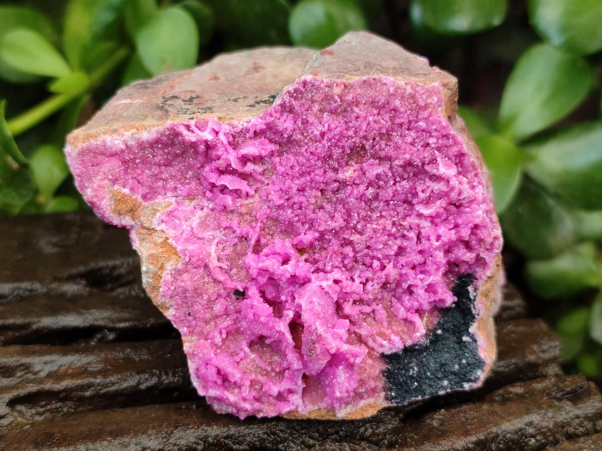 Natural Salrose Cobaltion Dolomite With Heterogenite Specimens x 4 From Kakanda, Congo