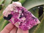 Natural Salrose Cobaltion Dolomite With Heterogenite Specimens x 4 From Kakanda, Congo