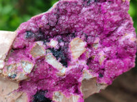 Natural Salrose Cobaltion Dolomite With Heterogenite Specimens x 4 From Kakanda, Congo