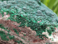 Natural Silky Ball Malachite and Quartz on Dolomite Specimens x 1 From Mindingi Mine, Kambove, Congo