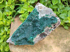 Natural Silky Ball Malachite and Quartz on Dolomite Specimens x 1 From Mindingi Mine, Kambove, Congo