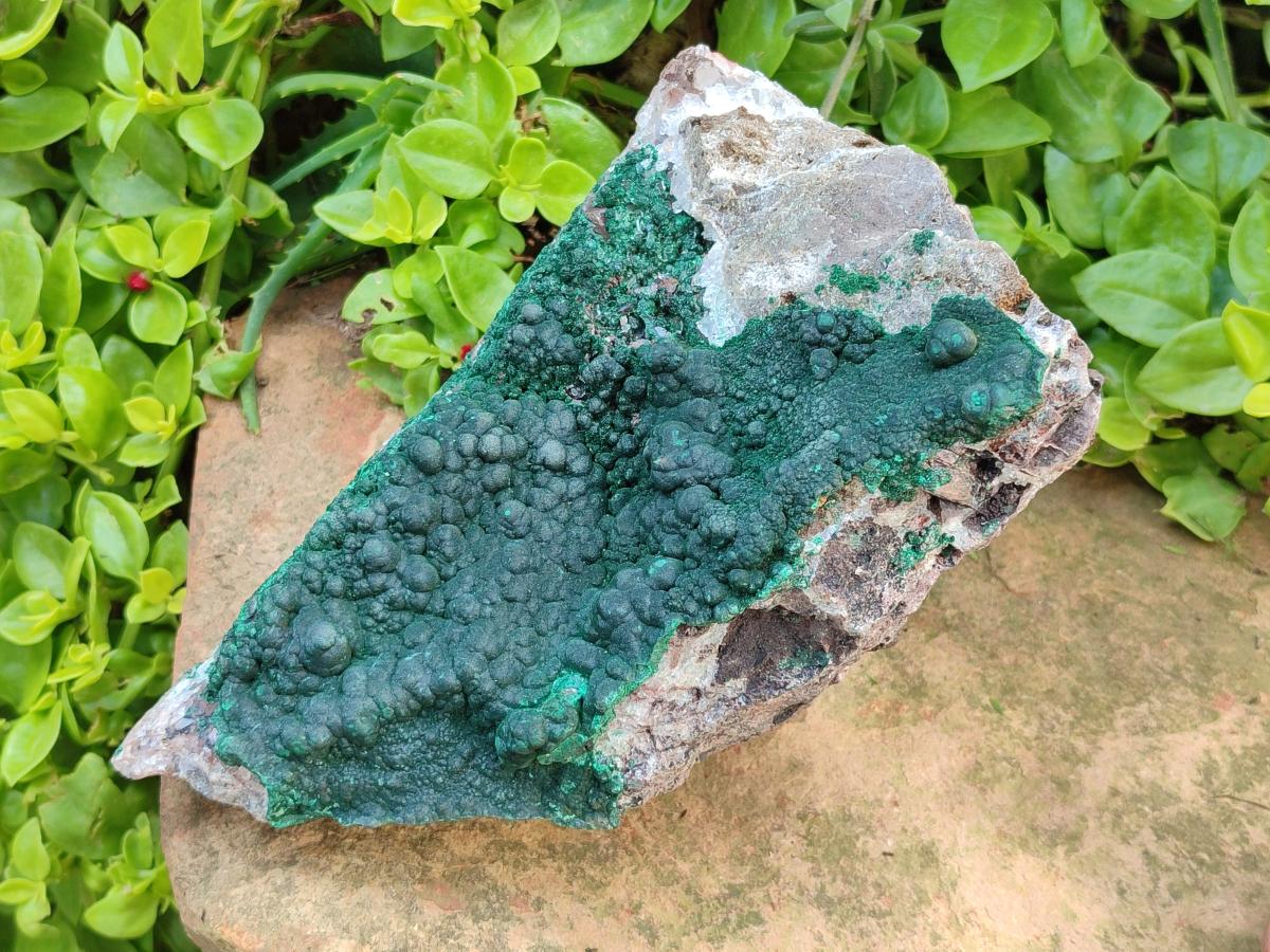 Natural Silky Ball Malachite and Quartz on Dolomite Specimens x 1 From Mindingi Mine, Kambove, Congo