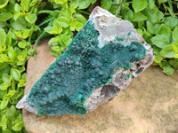 Natural Silky Ball Malachite and Quartz on Dolomite Specimens x 1 From Mindingi Mine, Kambove, Congo