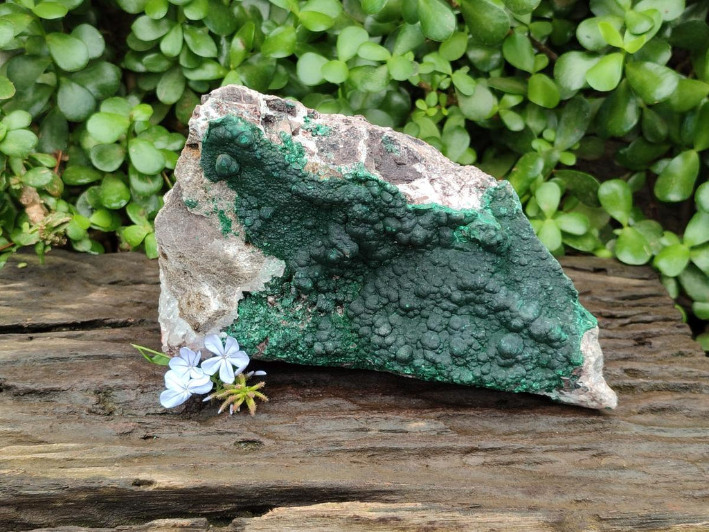 Natural Silky Ball Malachite and Quartz on Dolomite Specimens x 1 From Mindingi Mine, Kambove, Congo