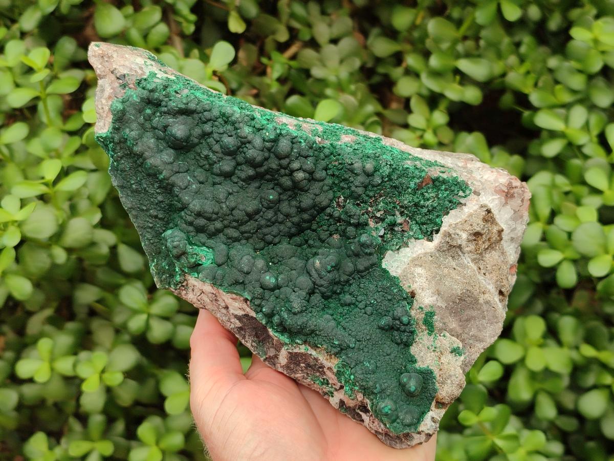 Natural Silky Ball Malachite and Quartz on Dolomite Specimens x 1 From Mindingi Mine, Kambove, Congo