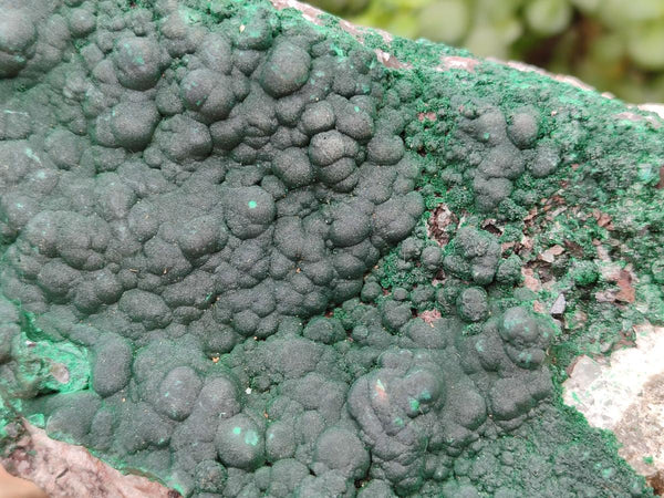 Natural Silky Ball Malachite and Quartz on Dolomite Specimens x 1 From Mindingi Mine, Kambove, Congo