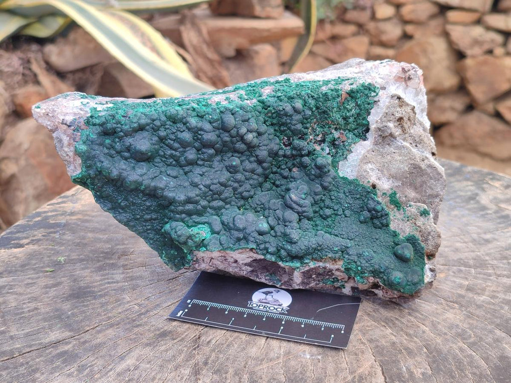 Natural Silky Ball Malachite and Quartz on Dolomite Specimens x 1 From Mindingi Mine, Kambove, Congo