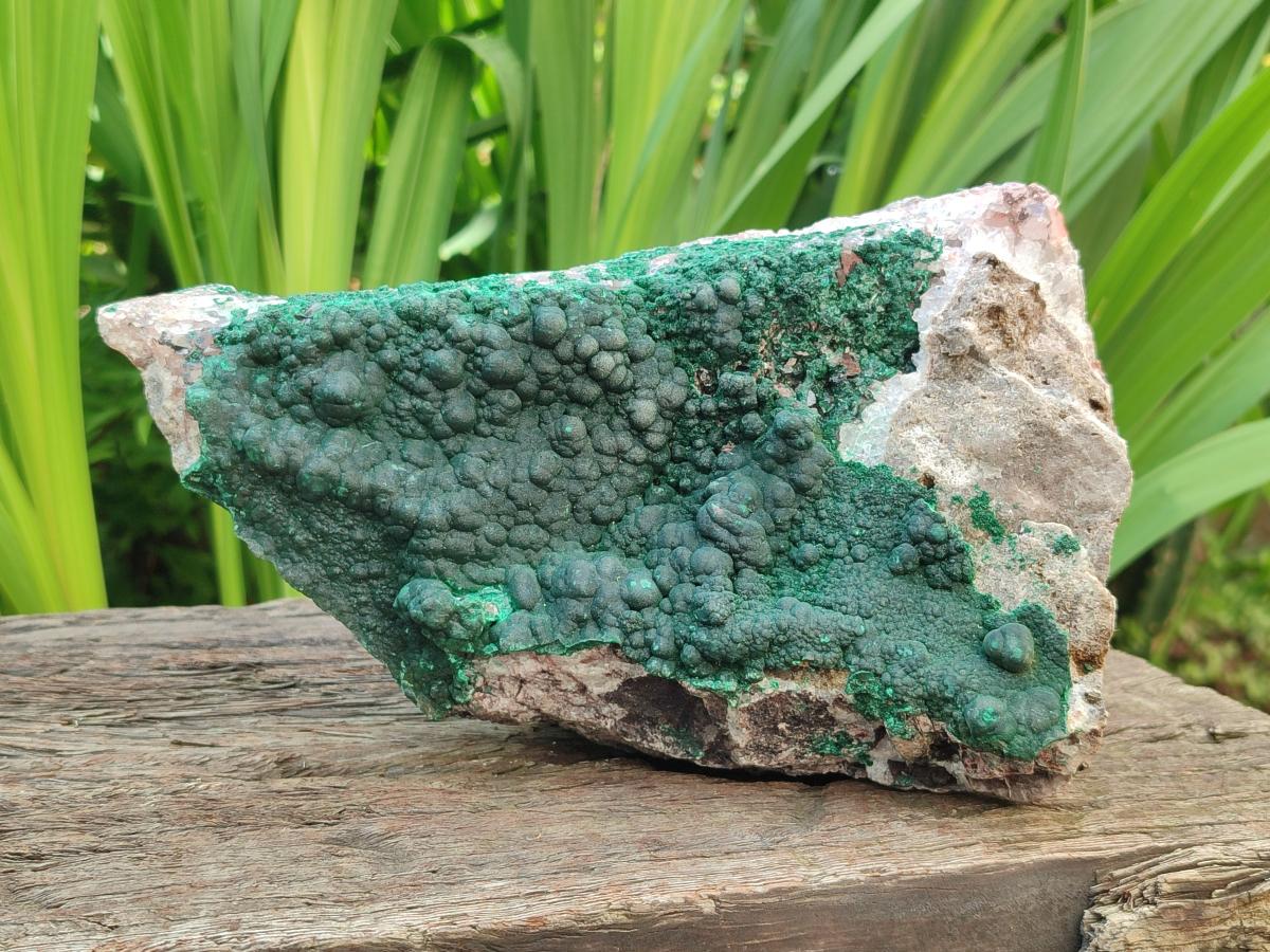 Natural Silky Ball Malachite and Quartz on Dolomite Specimens x 1 From Mindingi Mine, Kambove, Congo