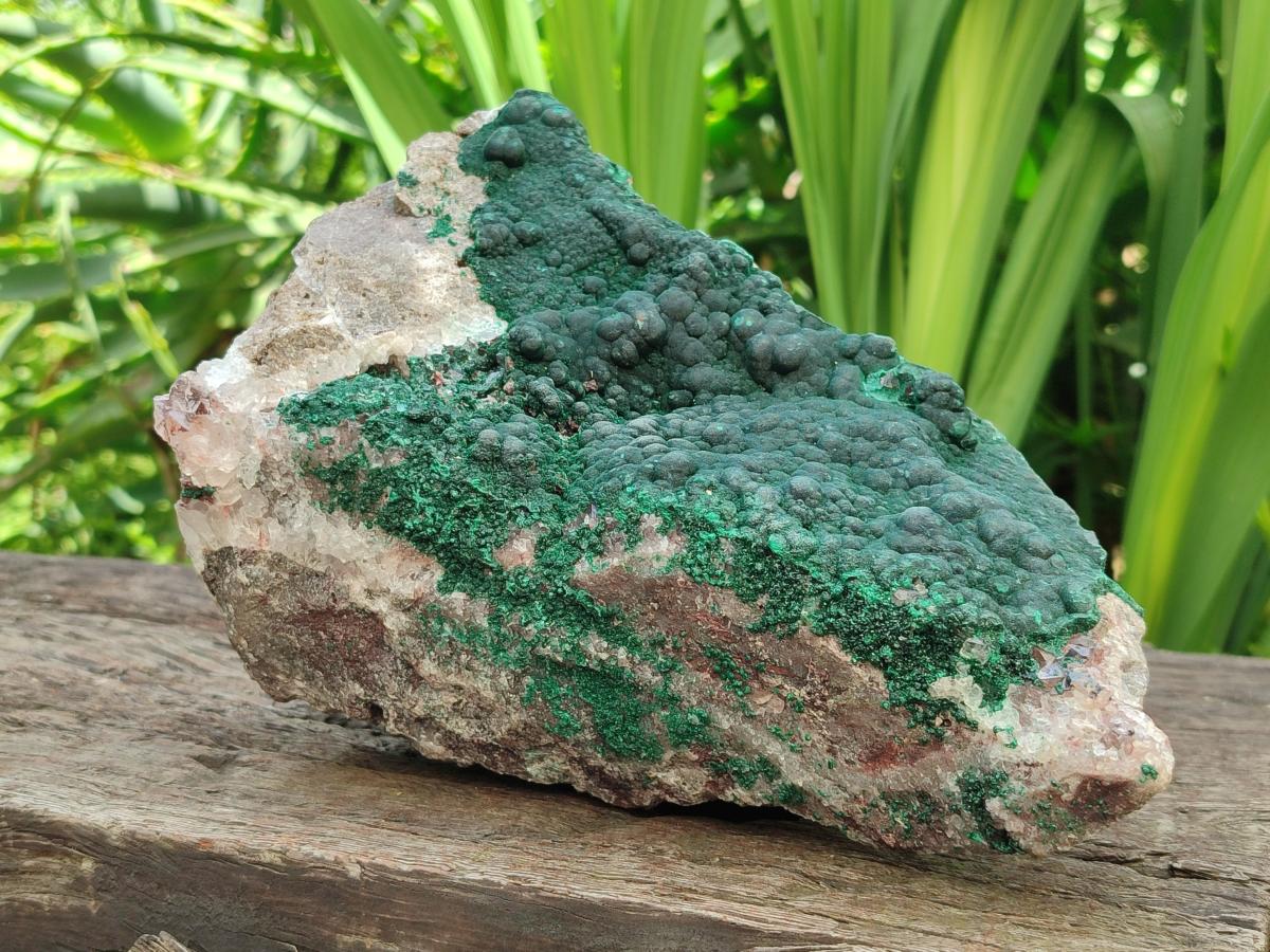 Natural Silky Ball Malachite and Quartz on Dolomite Specimens x 1 From Mindingi Mine, Kambove, Congo