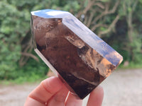 Polished Mixed Smokey Quartz Crystals x 3 From Madagascar