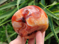 Polished Carnelian Agate Gemstone Bowl x 3 From Madagascar
