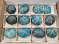 Polished Blue Apatite Galets x 12 From Betroka, Madagascar