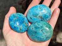 Polished Blue Apatite Galets x 12 From Betroka, Madagascar